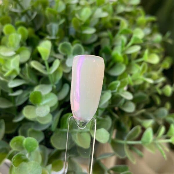 Glazed Donut Purple Powder