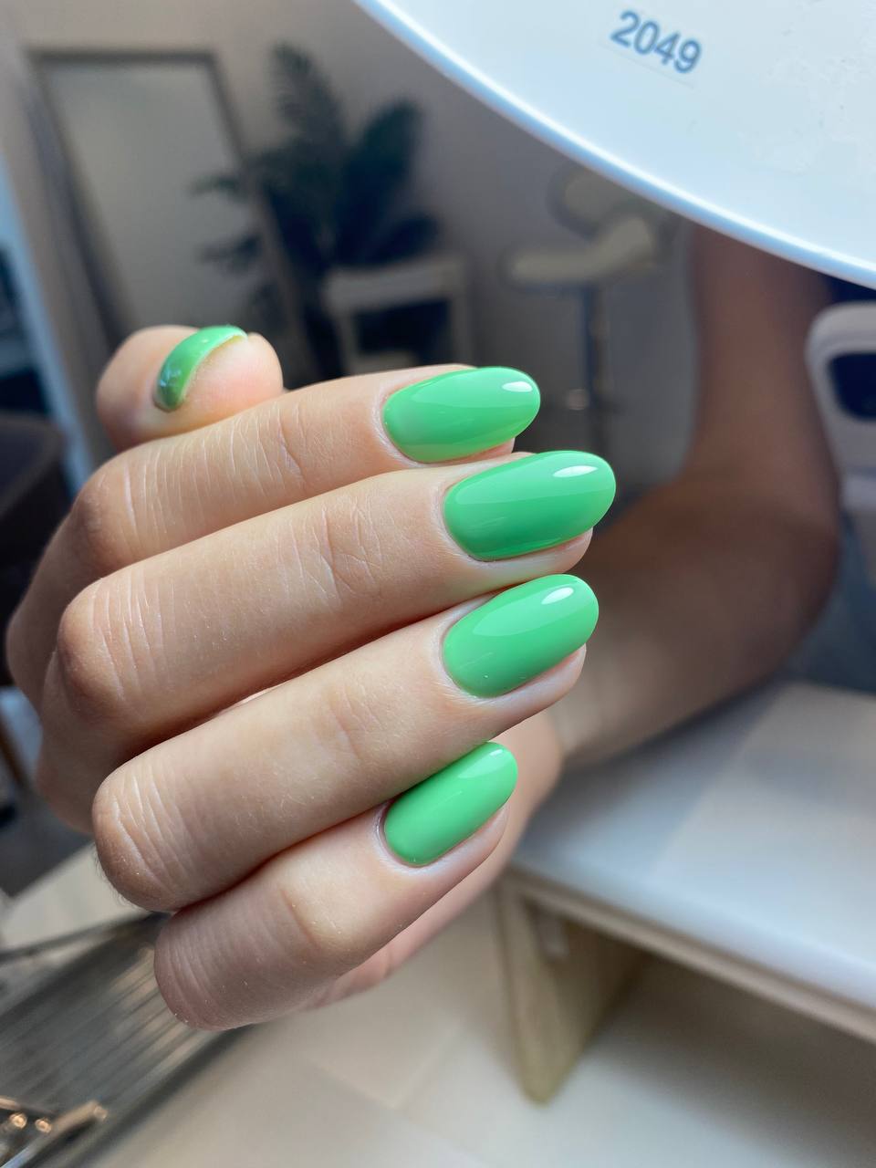 Gel Polish 178 Clover Field